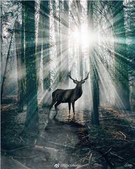 葡撻雕老师头像